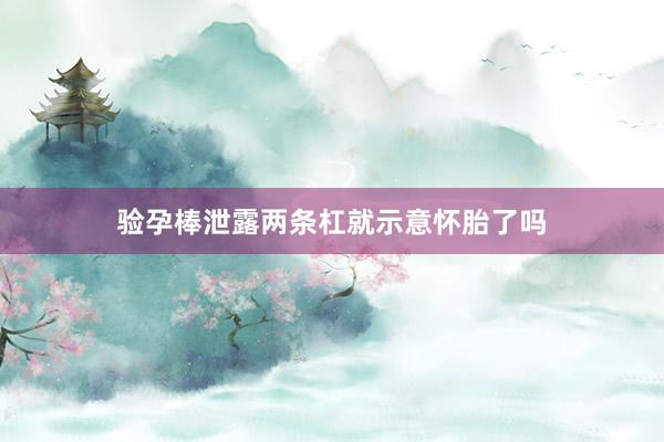 验孕棒泄露两条杠就示意怀胎了吗