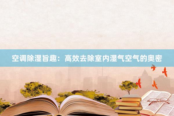 空调除湿旨趣：高效去除室内湿气空气的奥密