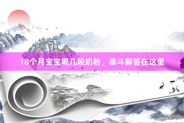 18个月宝宝喝几段奶粉，泰斗解答在这里