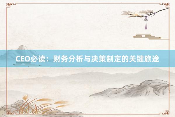 CEO必读：财务分析与决策制定的关键旅途